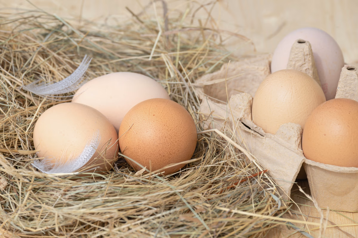 A group of eggs resting in a carton, evoking the nest-egg metaphor